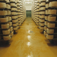 Immagine Ambienti alimentari ad elevato rischio di proliferazione batterica. 